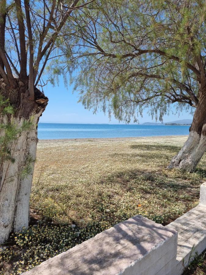 To Kyma Apart otel Amarynthos Dış mekan fotoğraf
